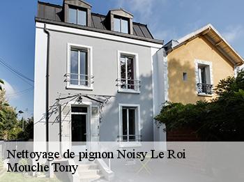 Nettoyage de pignon  78590