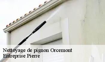 Nettoyage de pignon orcemont-78125 Entreprise Pierre
