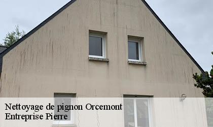 Nettoyage de pignon