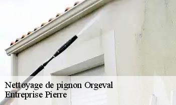 Nettoyage de pignon orgeval-78630 Entreprise Pierre