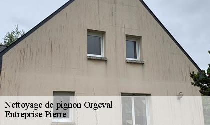 Nettoyage de pignon