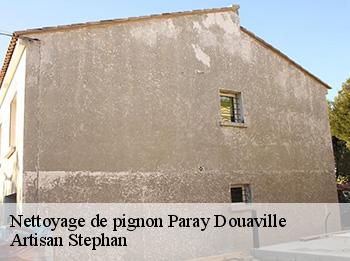 Nettoyage de pignon  paray-douaville-78660 Artisan Stephan