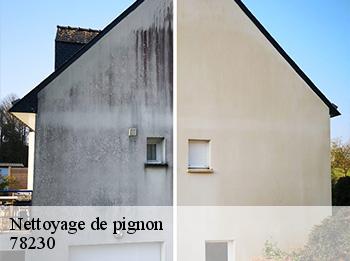 Nettoyage de pignon  78230