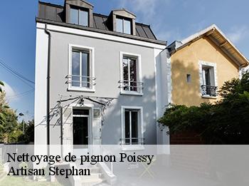 Nettoyage de pignon  78300