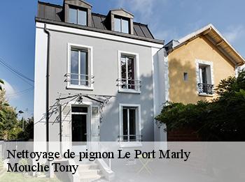 Nettoyage de pignon  78560