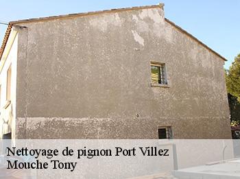Nettoyage de pignon  port-villez-78270 Mouche Tony