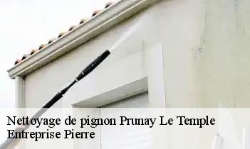 Nettoyage de pignon prunay-le-temple-78910 Entreprise Pierre