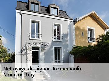 Nettoyage de pignon  78590