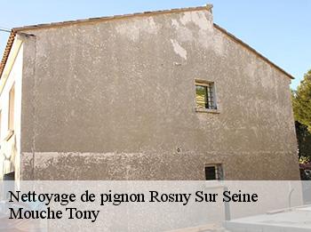 Nettoyage de pignon  rosny-sur-seine-78710 Mouche Tony