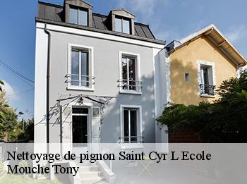 Nettoyage de pignon  78210