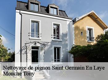 Nettoyage de pignon  78100