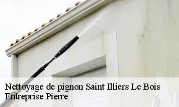 Nettoyage de pignon saint-illiers-le-bois-78980 Entreprise Pierre