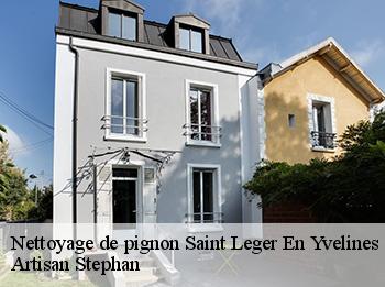 Nettoyage de pignon  78610