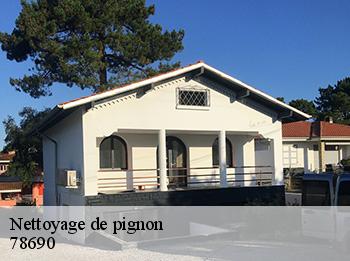 Nettoyage de pignon