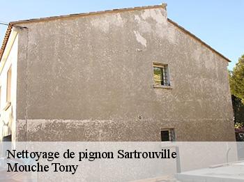 Nettoyage de pignon sartrouville-78500 Mouche Tony