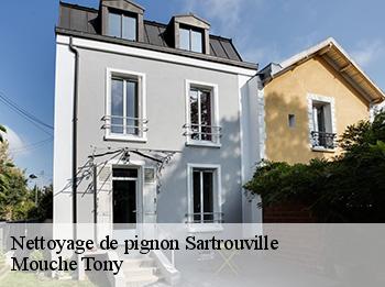 Nettoyage de pignon 78500