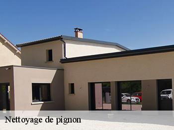 Nettoyage de pignon 78500