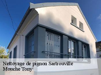 Nettoyage de pignon