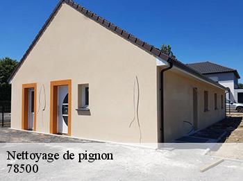 Nettoyage de pignon 78500