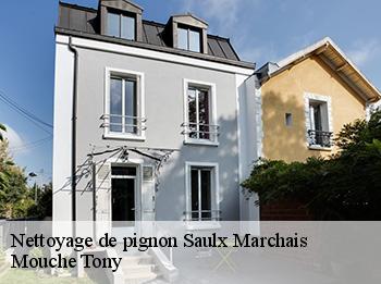 Nettoyage de pignon  78650