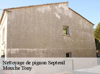 Nettoyage de pignon  septeuil-78790 Mouche Tony