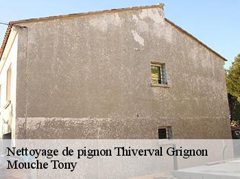 Nettoyage de pignon  thiverval-grignon-78850 Mouche Tony