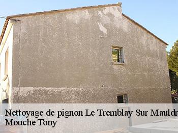 Nettoyage de pignon  le-tremblay-sur-mauldre-78490 Mouche Tony