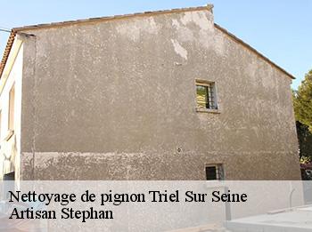 Nettoyage de pignon  triel-sur-seine-78510 Artisan Stephan