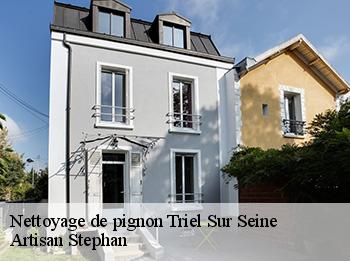 Nettoyage de pignon  78510