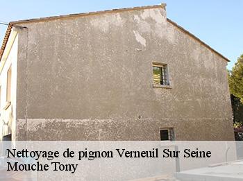 Nettoyage de pignon  verneuil-sur-seine-78480 Mouche Tony
