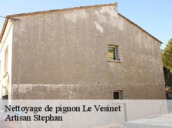 Nettoyage de pignon  le-vesinet-78110 Artisan Stephan