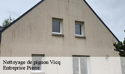 Nettoyage de pignon