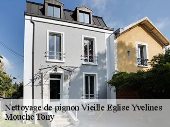 Nettoyage de pignon  78125