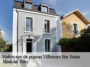 Nettoyage de pignon  78670