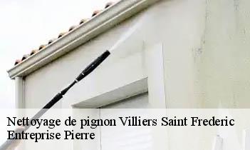 Nettoyage de pignon villiers-saint-frederic-78640 Entreprise Pierre