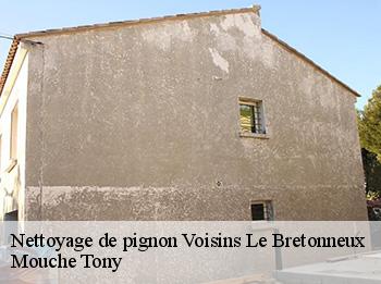 Nettoyage de pignon  voisins-le-bretonneux-78960 Mouche Tony