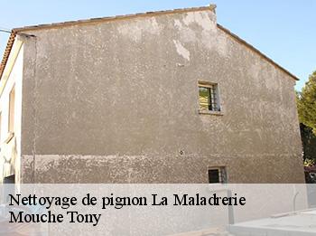 Nettoyage de pignon  la-maladrerie-78300 Mouche Tony