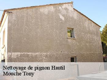 Nettoyage de pignon hautil-78510 Mouche Tony