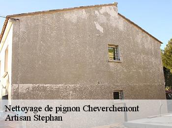 Nettoyage de pignon  cheverchemont-78510 Artisan Stephan