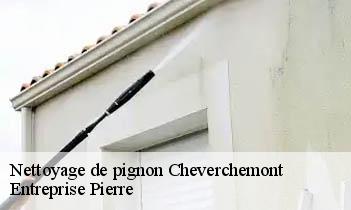 Nettoyage de pignon cheverchemont-78510 Entreprise Pierre