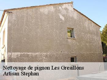 Nettoyage de pignon  les-gresillons-78955 Artisan Stephan