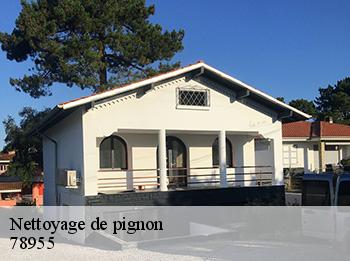 Nettoyage de pignon