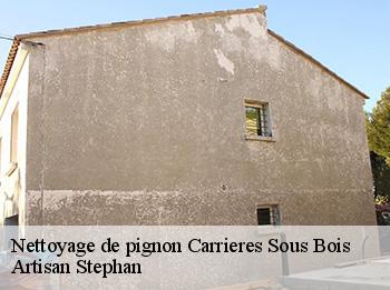 Nettoyage de pignon  carrieres-sous-bois-78600 Artisan Stephan