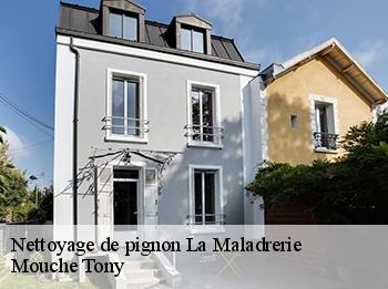 Nettoyage de pignon  78650