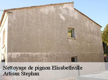 Nettoyage de pignon  elisabethville-78410 Artisan Stephan