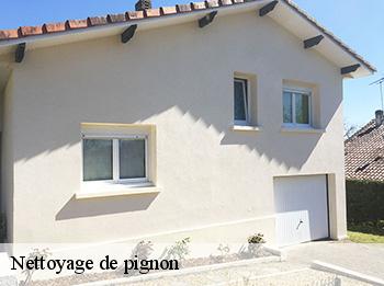 Nettoyage de pignon