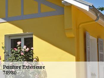 Peinture Extérieure  78980