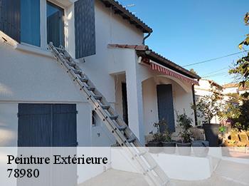 Peinture Extérieure  78980