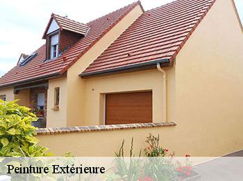 Peinture Extérieure
