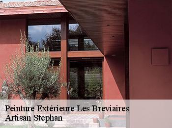 Peinture Extérieure